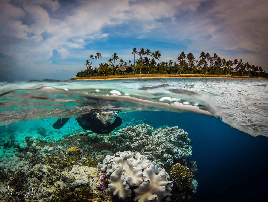 Split shot of Snorkler at Wakatobi reef with island and palm trees in background copyright Steve Miller Ikelite