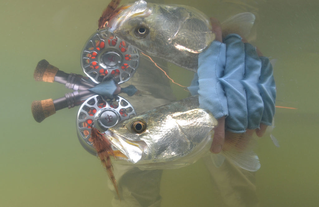 double vision by steve hall taken with ikelite underwater housing