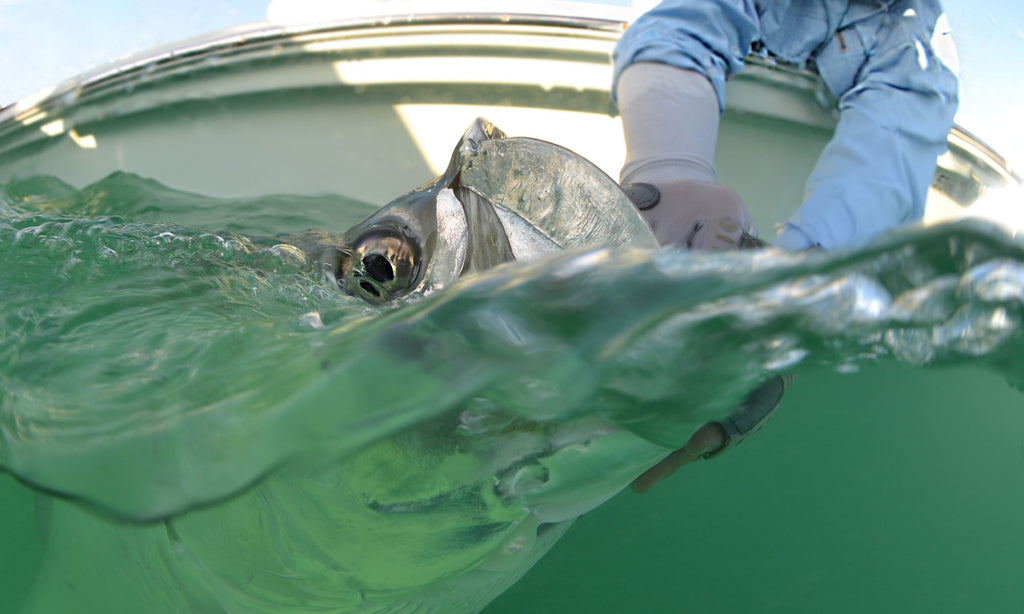 steve hall catch and release taken with ikelite underwater housing