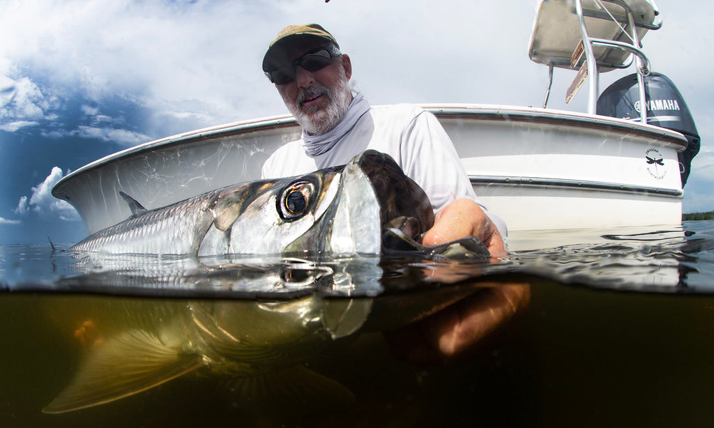 tarpon on the fly by steve hall taken with ikelite underwater housing