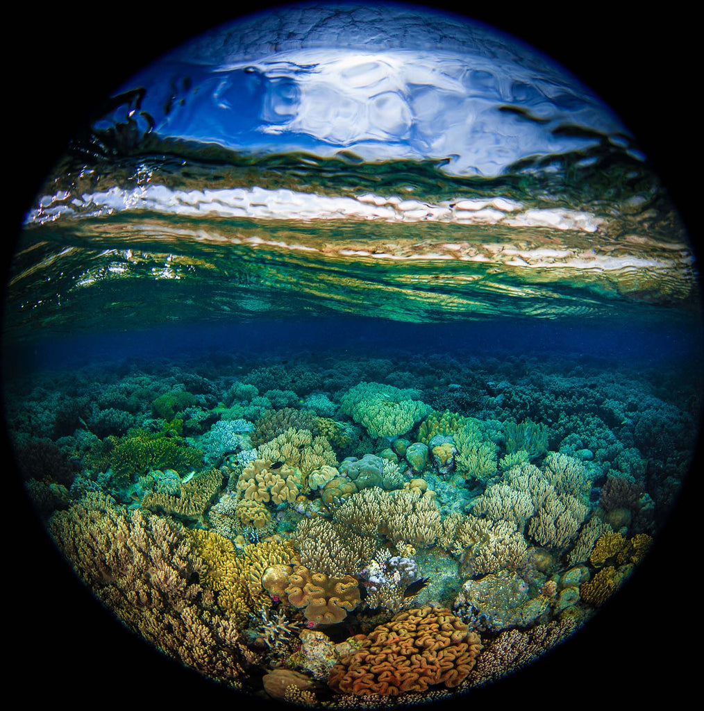 steve miller split shot exemplifying refraction from water sheering off ikelite underwater dome port