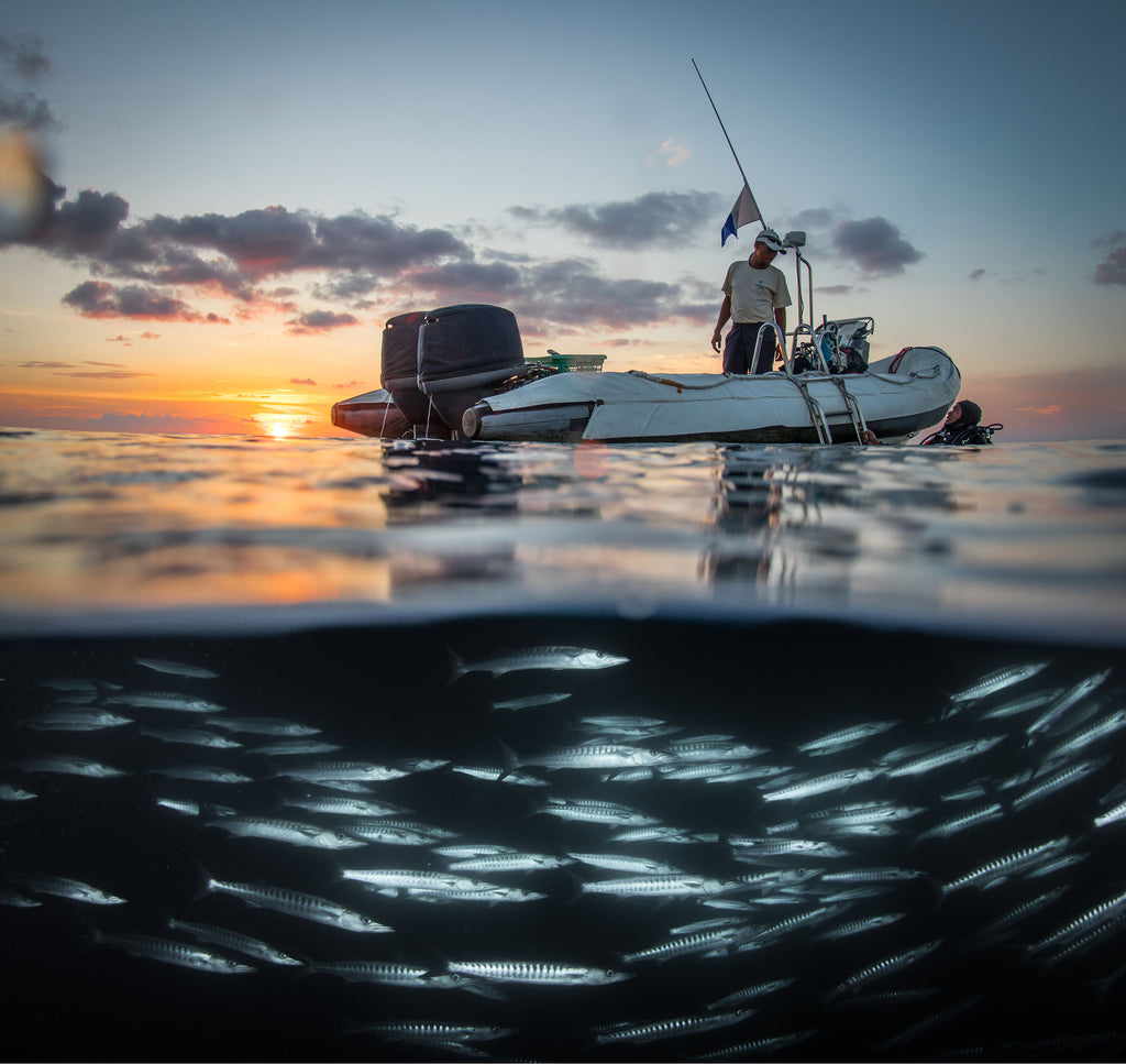 steve miller split shot of sunset with schooling fish taken with ikelite underwater system
