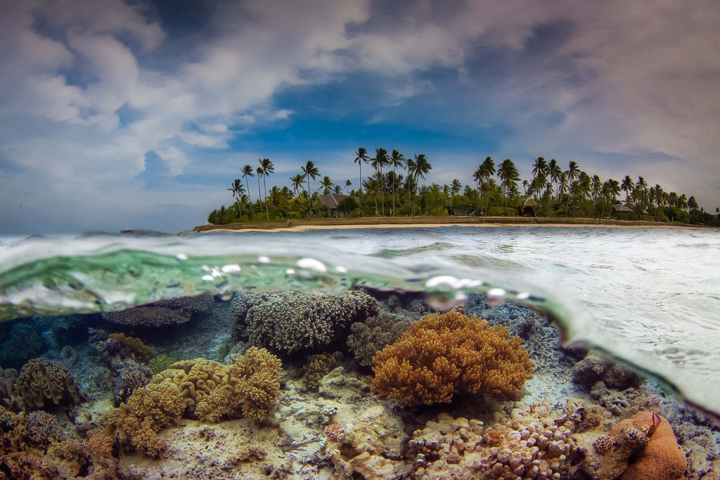 split shot on wakatobi by steve miller taken with an ikelite underwater housing and strobes