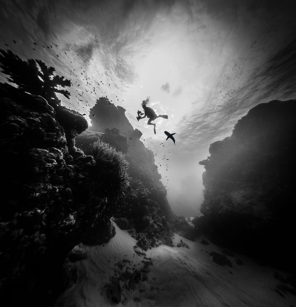 yap caverns image by steve miller taken with ikelite underwater housing