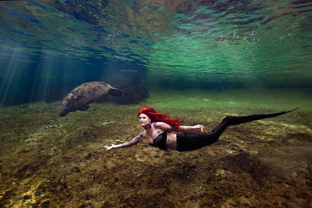 mermaid and manatee image by tristine davis taken with ikelite underwater housing and strobes