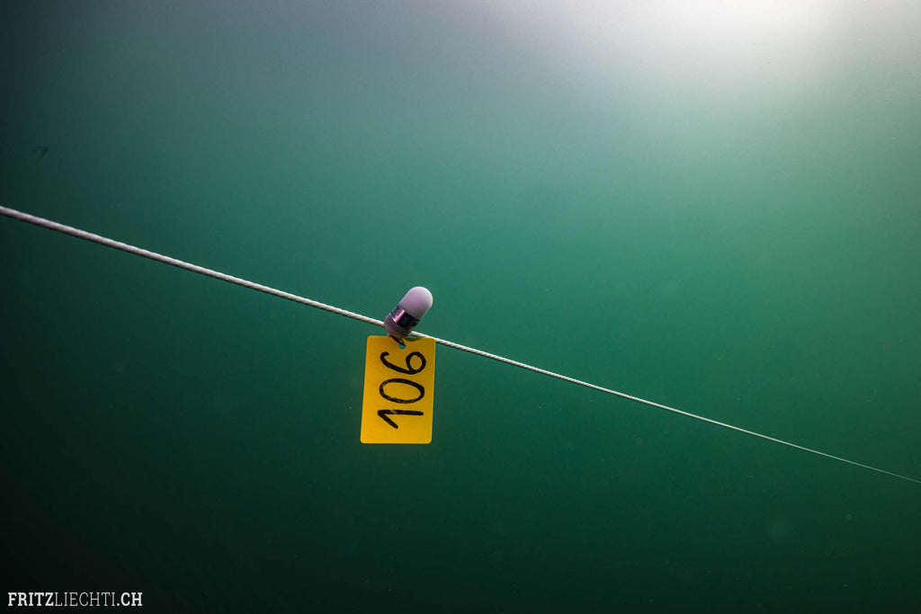 Peter Colat world record under ice copyright Fritz Liechti taken with Ikelite underwater housing strobes