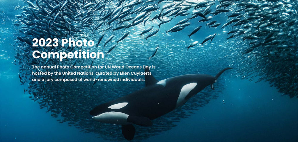 world oceans day 2023