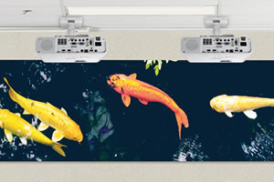 epson eb-l260f edge blending