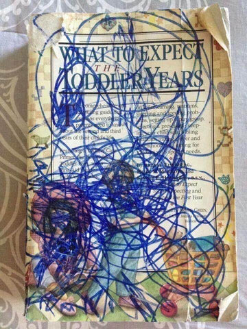 What to Expect The Toddler Years Book