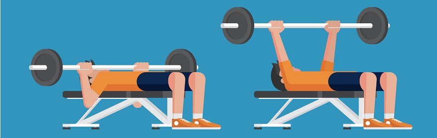 Flat Bench Press Vs Incline Decline For Building A Sculpted Chest Transparent Labs