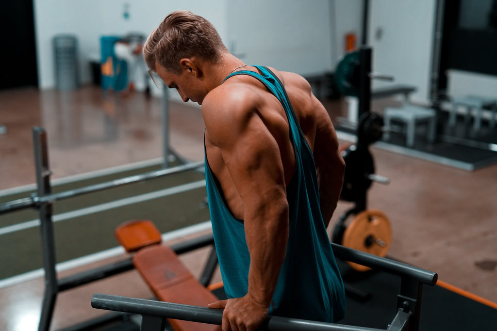 Fit man exercising in dip station to lose weigh