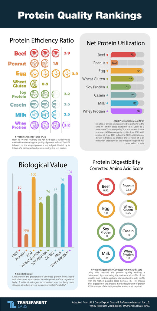whey protein vs isolate: protein quality rankings chart