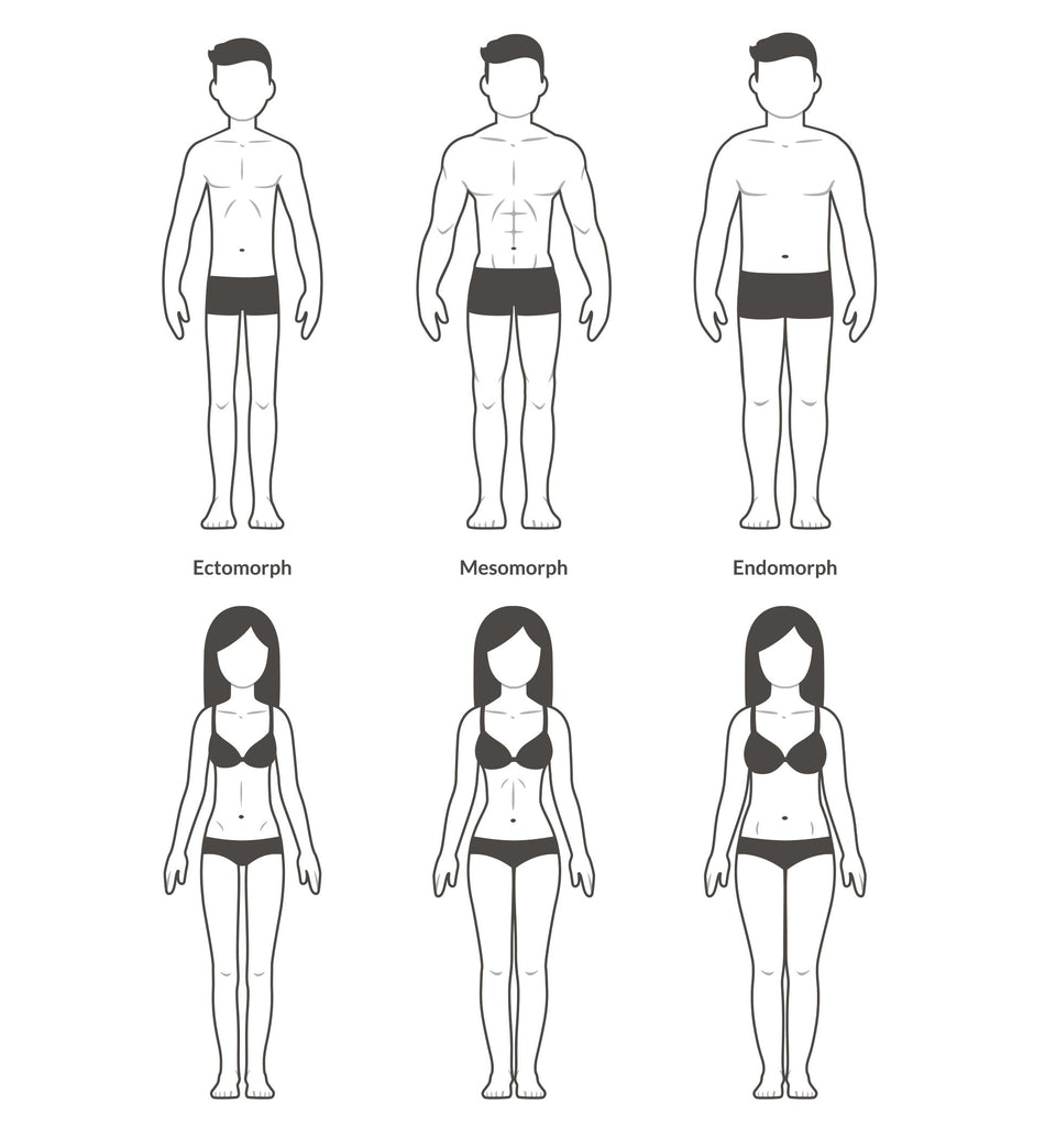 Ectomorph body type