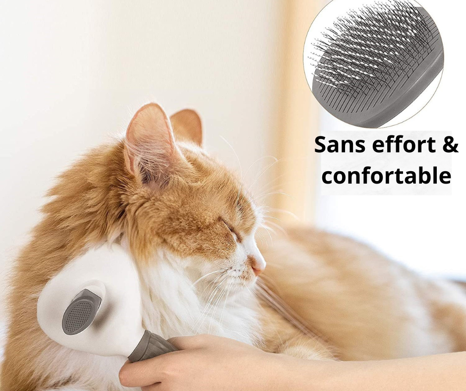 brosse pour chat