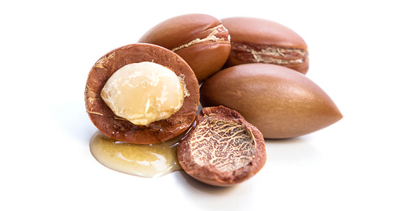 Argan Nut