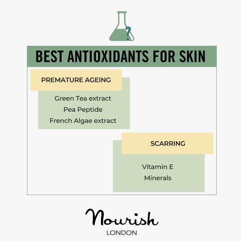Best Antioxidants For Skin Concerns: Premature Ageing, Scarring