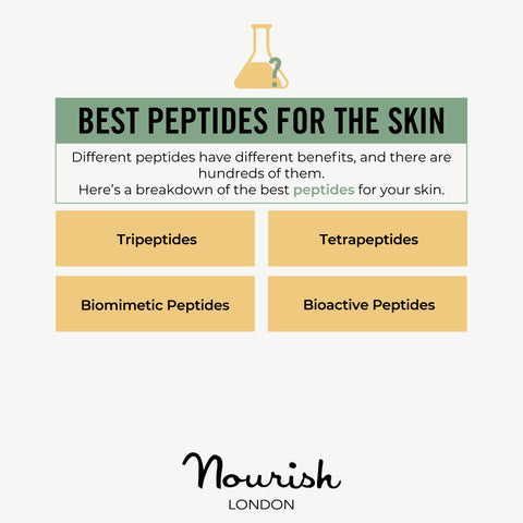 Nourish London Skincare Best Peptides for Skin