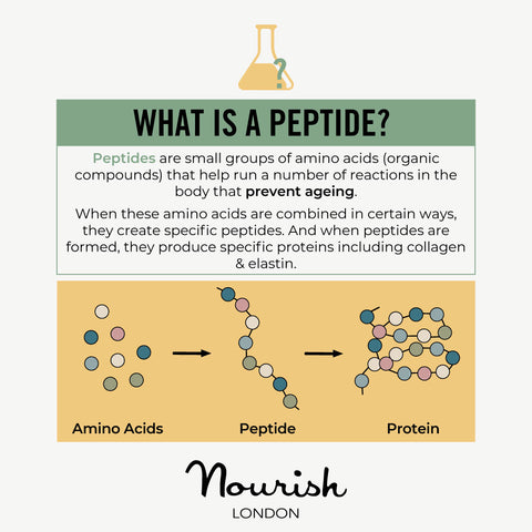 Nourish London Skincare What are Peptides: Prevent Skin Ageing