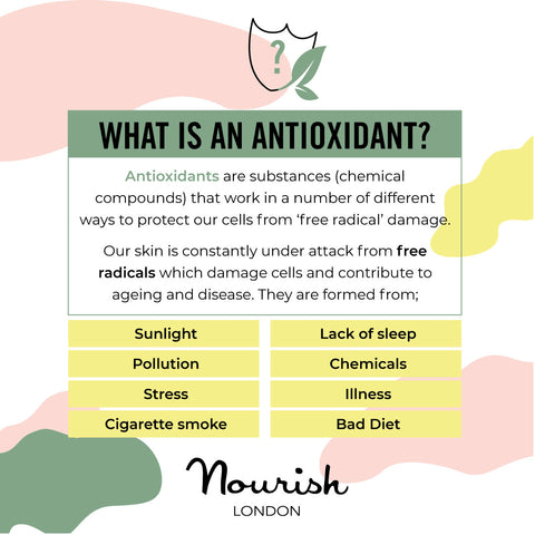Nourish London Skincare What are Antioxidants Protect Free Radicals