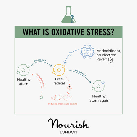 What is Oxidative Stress Infographics Explanation