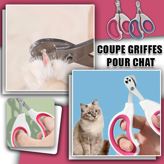 coupe ongle pour chat - hygiène améliorer