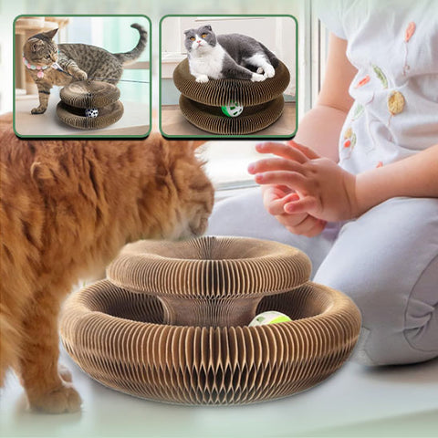 jouet-pour-chat-papier-ondulé-durable-griffes-et-meubles