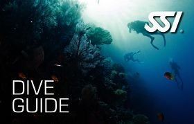 SSI Dive Guide ( privat undervisning ) thumbnail