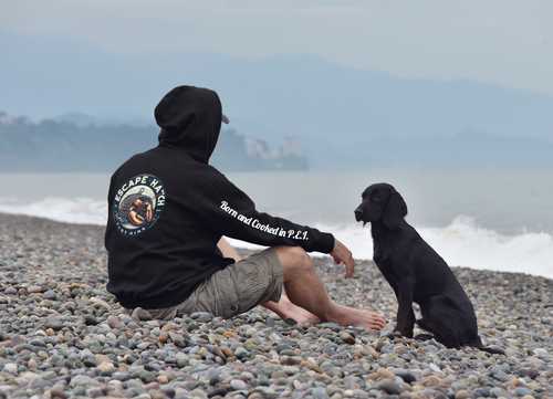hoodie-mockup-of-a-man-sitting-at-a-beach-with-his-dog-45630-r-el2.png__PID:f38a5d76-7140-432e-a022-6212449dc659