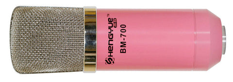BM-700 microphone
