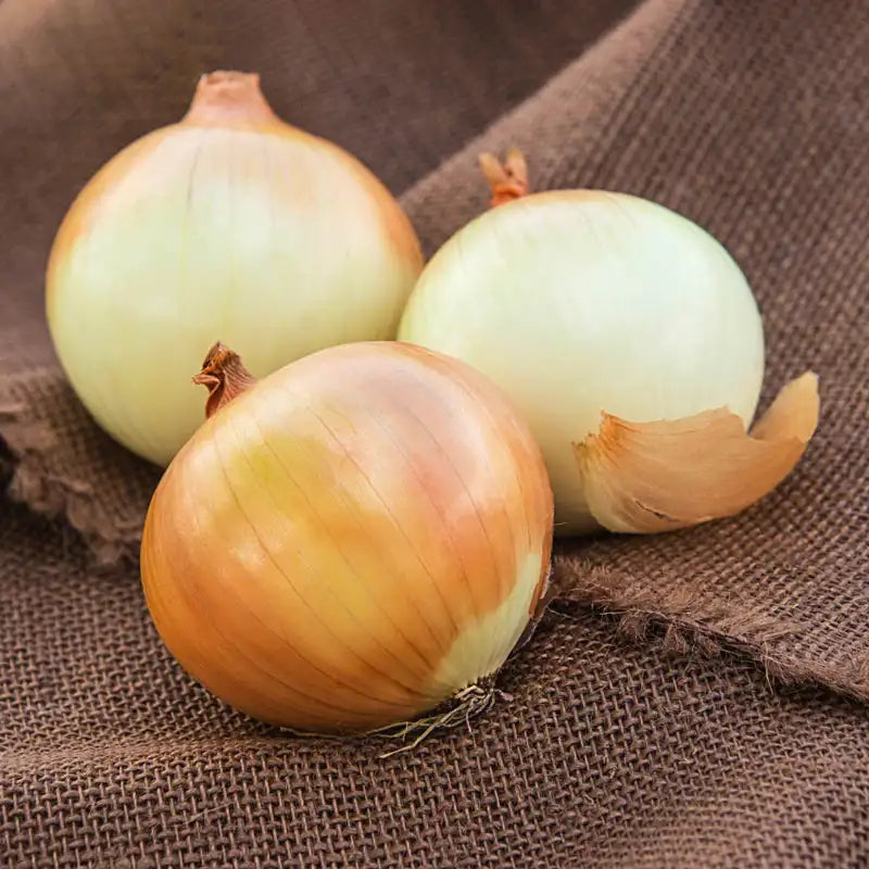 Onions