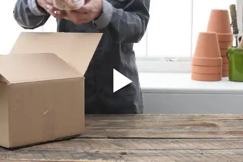 Unboxing