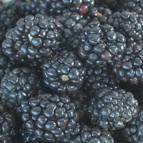 Blackberry
