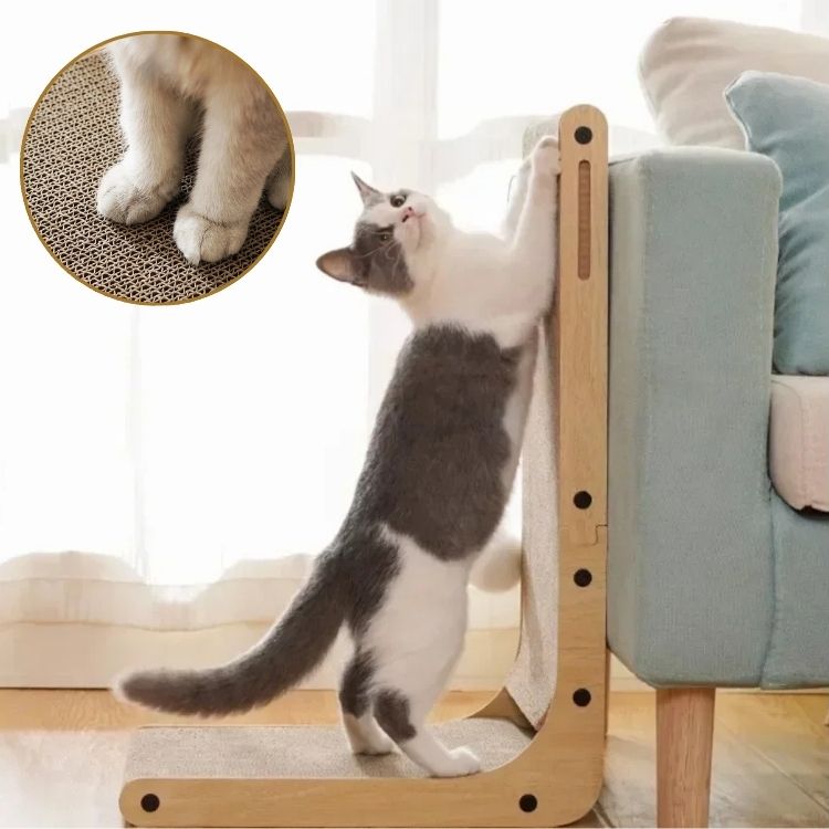 griffoir-chat-meuble