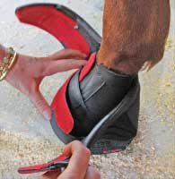 pastern wraps for horses