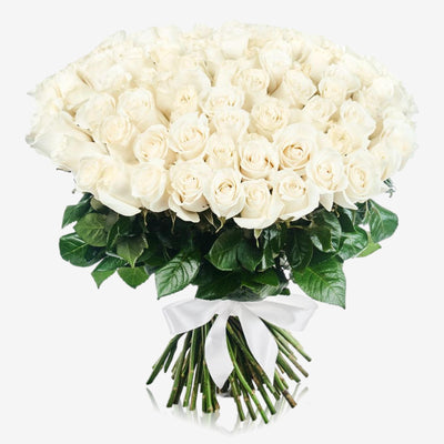 99 White Roses