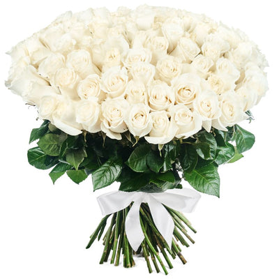 99 White Roses