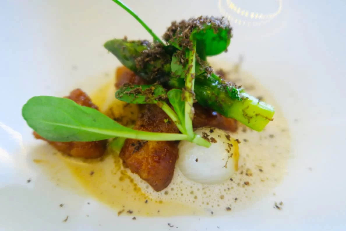 petrucci italië toscane podere forte vinites wijnhuis wijn