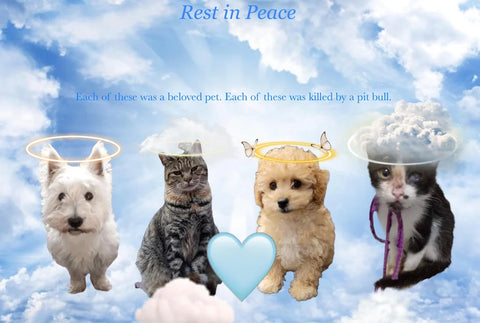 In memory of all pets killed by pitbulls and selfish owners