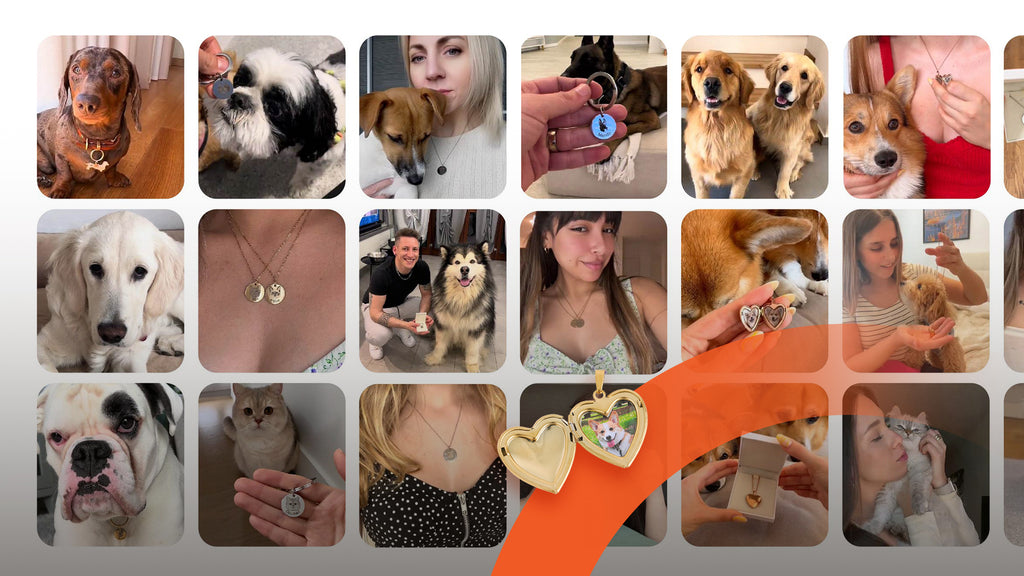 From Paw Prints to Portraits: Custom Pet Jewelry Trends