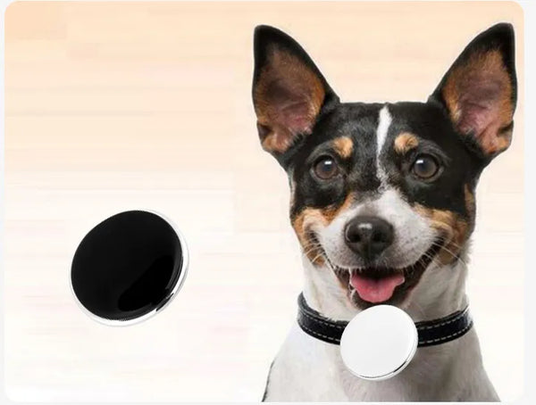 GPS Pet Tracker Tag