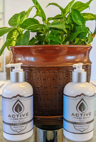 There are two Active CBD Oil 1100mg lotions pictured, a citrus lavender (purple and white) one on the left and a menthol (blue and white) one on the right, in front of a green plant in a brown pot, on top of a clear glass table.