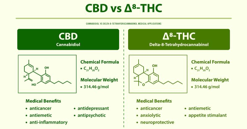 CBD vs Delta 8 THC