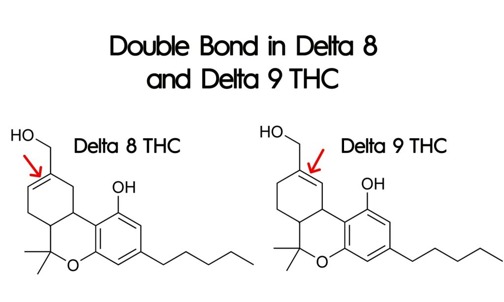 Delta 8 vs CBD