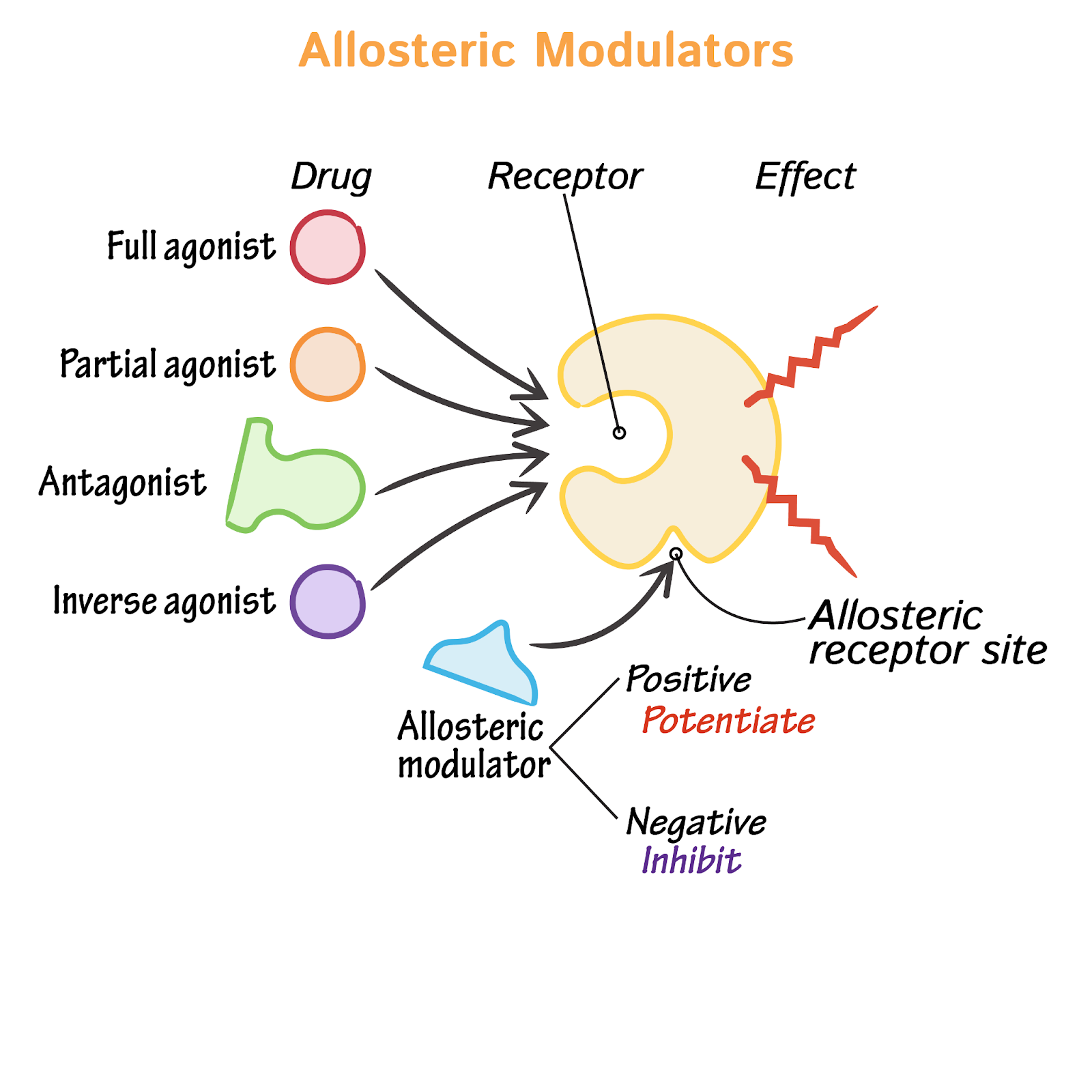 Negative Allosteric Modulator