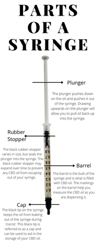 "Parts of a Syringe" with a syringe labeled against a white background 