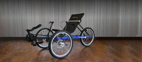 swego electric tricycle