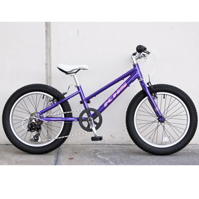 KHS Raptor Plus Girls Bicycle (Purple)