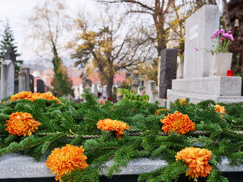 Chrysanthemums on a grave stone