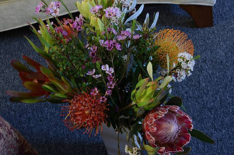 An Image of a protea flower