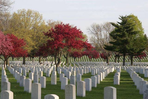 A Landscape photo of fort snelling national cemetery 